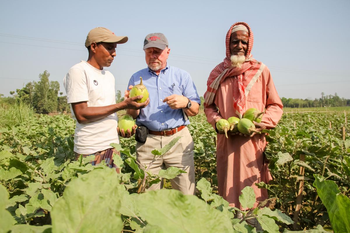 $4.8 million USAID grant to strengthen biotechnology partnership and improve food security in South Asia