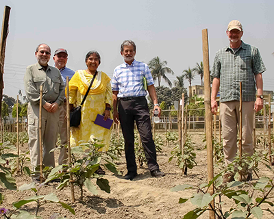 Scientists and specialists meet Bt brinjal farmers and researchers in Bangladesh
