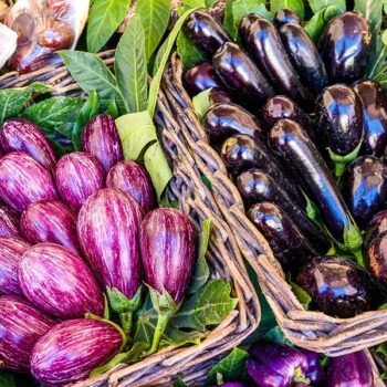 Impact - Feed the Future Insect-Resistant Eggplant Partnership