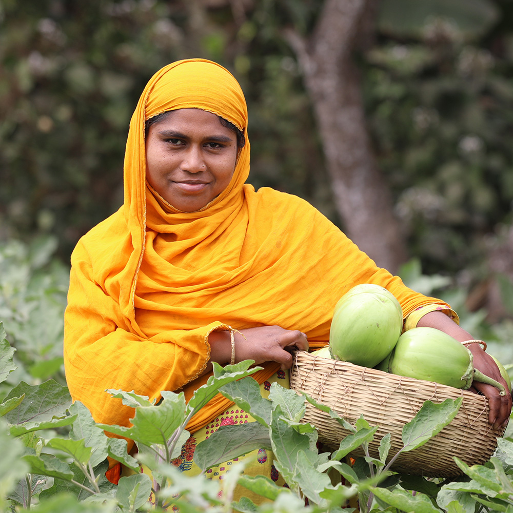 Sabrina Hasan holds harvest bt eggplant