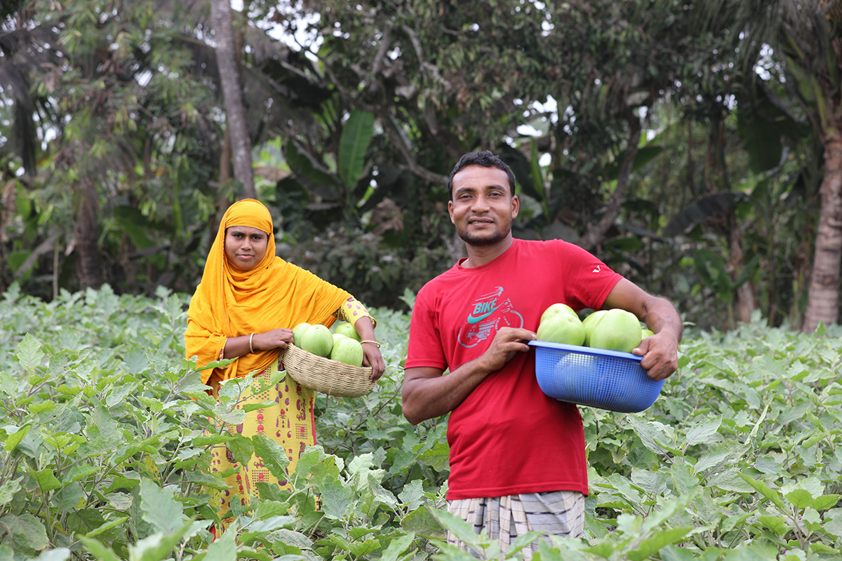 Farmers in a field